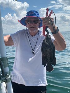Tripletail fish caught during a fishing holiday