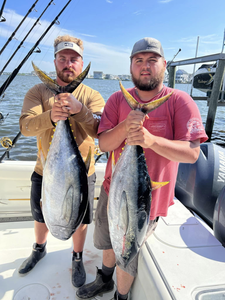 Two big blackfin tuna and yellowtail amberjack caught fishing at Barnegat Light