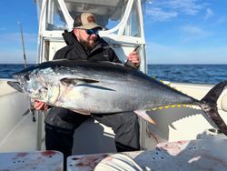 Blackfin tuna caught by fisherman at Barnegat Light