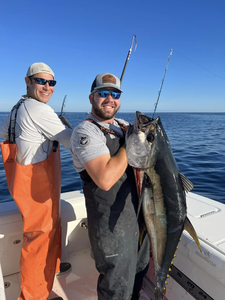 A majestic blue marlin fish caught by two people at Barnegat Light