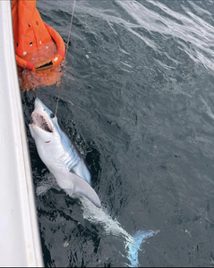 Fishing adventure in NJ