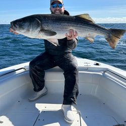 Fishing for a European seabass at Barnegat Light