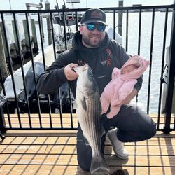 Striped bass caught at Barnegat Light