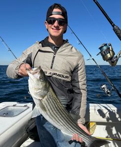 Striped bass caught at Barnegat Light