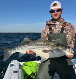 A single striped bass measuring 28 inches caught while fishing at Barnegat Light