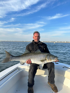 Striped bass caught while fishing at Barnegat Light