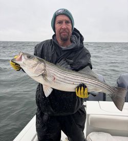 Striped bass caught while fishing in Barnegat Light