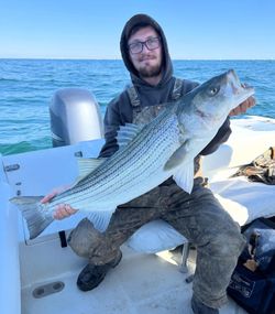 A photo of a striped bass caught while fishing in Barnegat Light