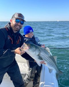 Striped Bass caught by two people in Barnegat Light