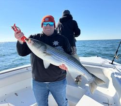 Striped bass caught while fishing in NJ