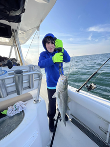 Striped bass caught by angler in NJ