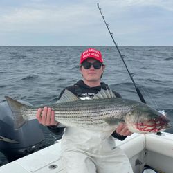 Striped bass caught while fishing in NJ
