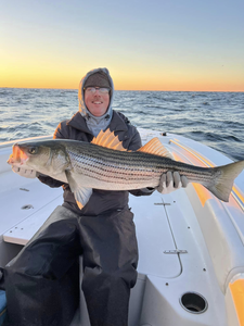 Striped Bass caught while fishing in NJ