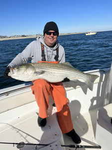 Striped bass caught while fishing in NJ