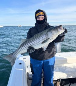 Striped bass caught by one person in NJ