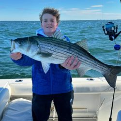 Striped bass caught in NJ