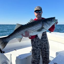 Striped bass caught while fishing in NJ