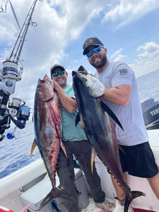 Two yellowfin tuna fish caught by two people in Barnegat Light