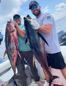 Two yellowfin tuna fish caught in NJ