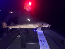 One person fishing in the water at Stillwater
