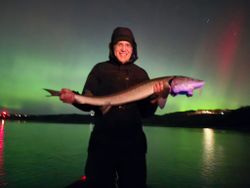 Lake sturgeon caught while fishing in Stillwater Minnesota under northern lights