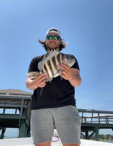 Fish-Species