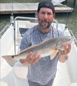 redfish in Wilmington