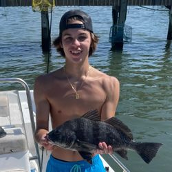 Black drum fishing
