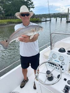 The redfish is biting, and we’re reeling