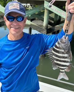 Sheepshead fishing at its finest. What a catch