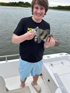A great day on the water with this sheepshead gem.
