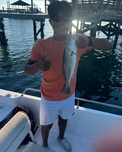 Sheepshead success: A fantastic addition