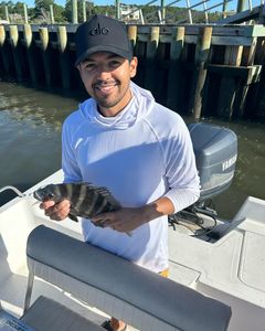 Sheepshead bliss: Another perfect catch!