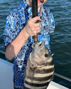 Fishing goals achieved: Sheepshead catch!
