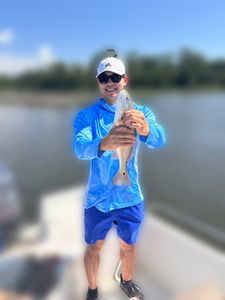 Hardhead Sea Catfish caught while fishing in NC