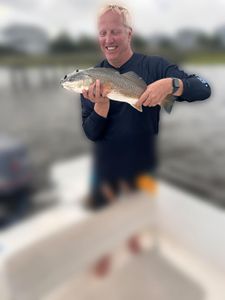 Redfish caught in NC