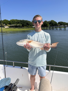 Light tackle triumphs: Reeling in a redfish on a clear day!