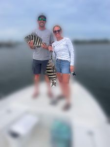 Two sheepshead fish caught during a fishing trip in Wilmington