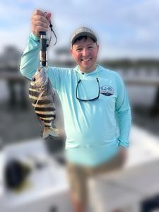 Sheepshead fish caught by angler in Wilmington