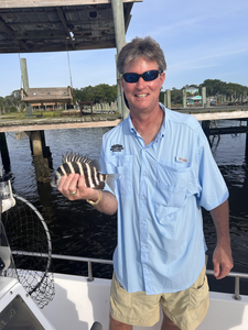 Reeled in a feisty 8-inch sheepshead in Wilmington today!