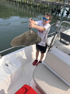 Nice stingray caught using deep sea trolling with light tackle in clear conditions!