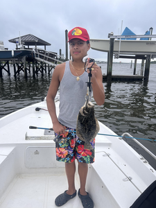 Light tackle triumph: A 12-inch Summer Flounder reeled in!