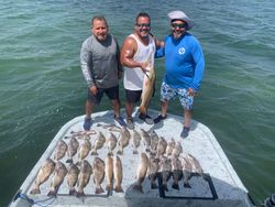 6 redfish caught during a fishing trip in Port Isabel
