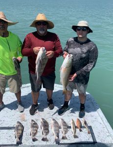 Seven big black drum fish caught while fishing in TX
