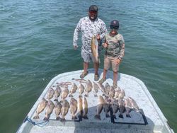 4 redfish caught while fishing in Port Isabel