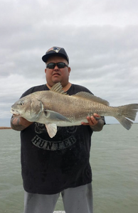 Catch of the day: 24-inch black drum fish caught while fishing in TX