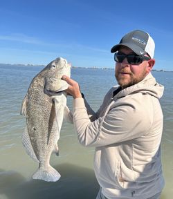 Angler with a Black Drum fish in Port Isabel