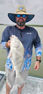 A person holding a large black drum fish in TX