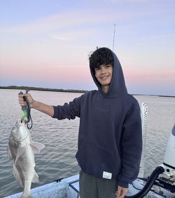 Black drum catch displayed on fishing boat in Port Isabel TX waters