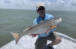 Redfish in Port Isabel, TX